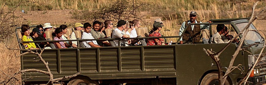 Sariska safari booking | sariskasafari.org Sariska safari booking | sariskasafari.org