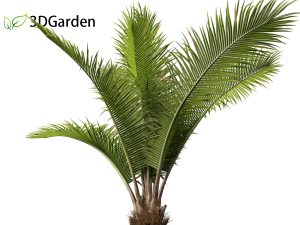 Twinmotion Plants 3D Models Free download