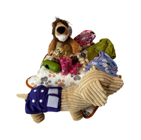 Female dog diapers