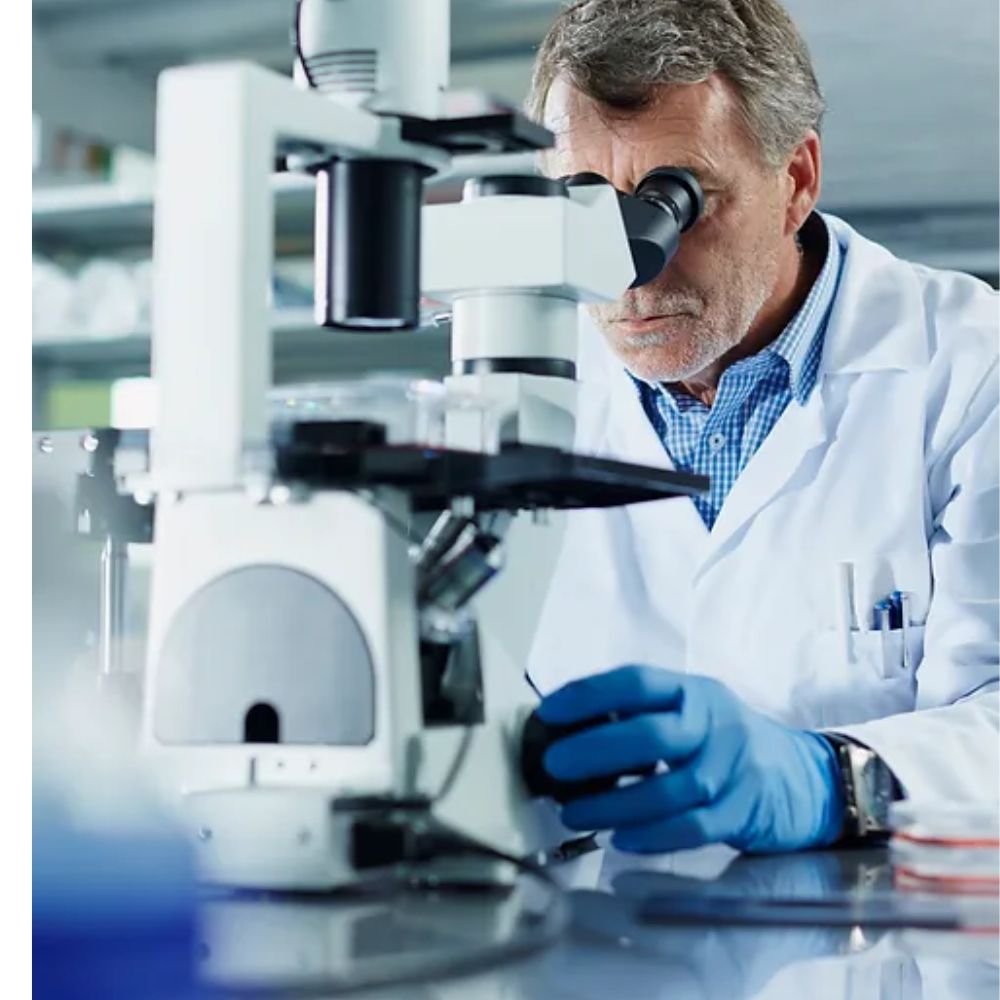 Expert Mold Air Sample Services |Alameda Mold Guys Expert Mold Air Sample Services |Alameda Mold Guys