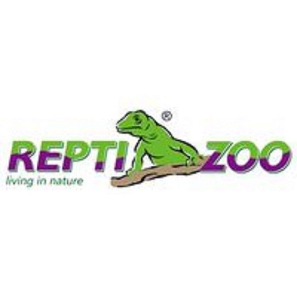 Introduction to Ball Python Enclosures