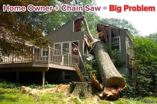 Tree Removal Belcamp Tree Removal Belcamp