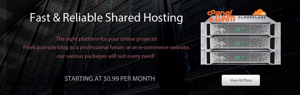 Reliable Web Hosting Services | Affordable & Secure Hosting at RHC Hosting