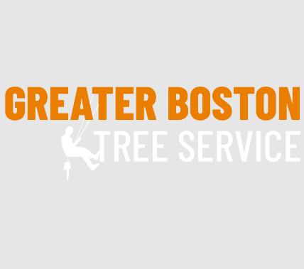 Greater Boston Tree Service Greater Boston Tree Service