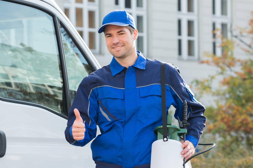 Pest Control Mumbai Pest Control Mumbai