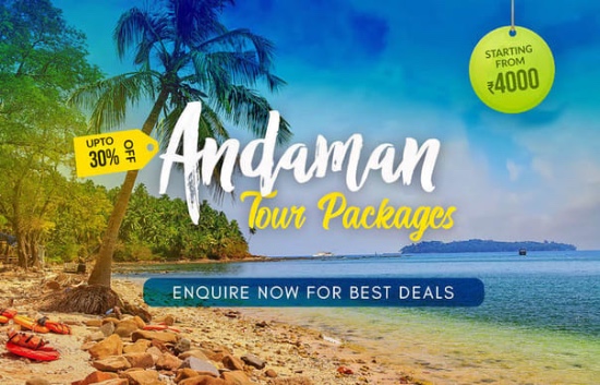Best Andaman Tour Packages for Unforgettable Experiences Best Andaman Tour Packages for Unforgettable Experiences