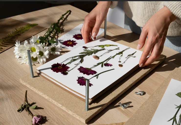 Pressed flower art sydney