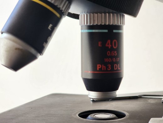 Professional Asbestos Testing San Diego Professional Asbestos Testing San Diego