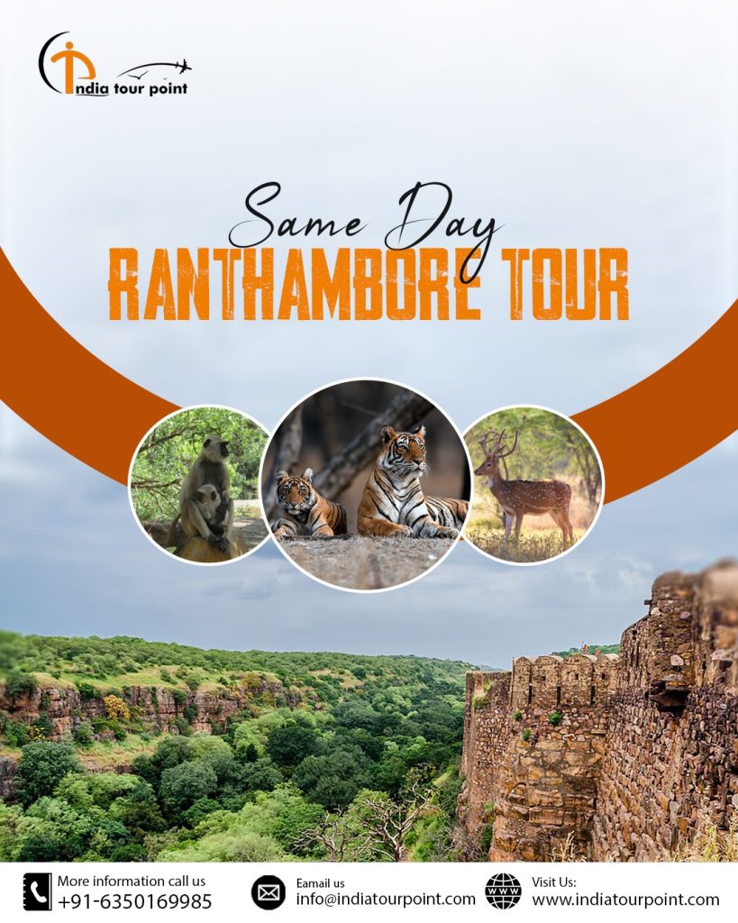 Same Day Ranthambore Tour – Your Perfect Quick Getaway with India Tour Point