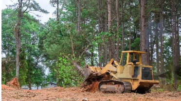 Expert Selective Demolition Services for Safe and Precise Structure Removal