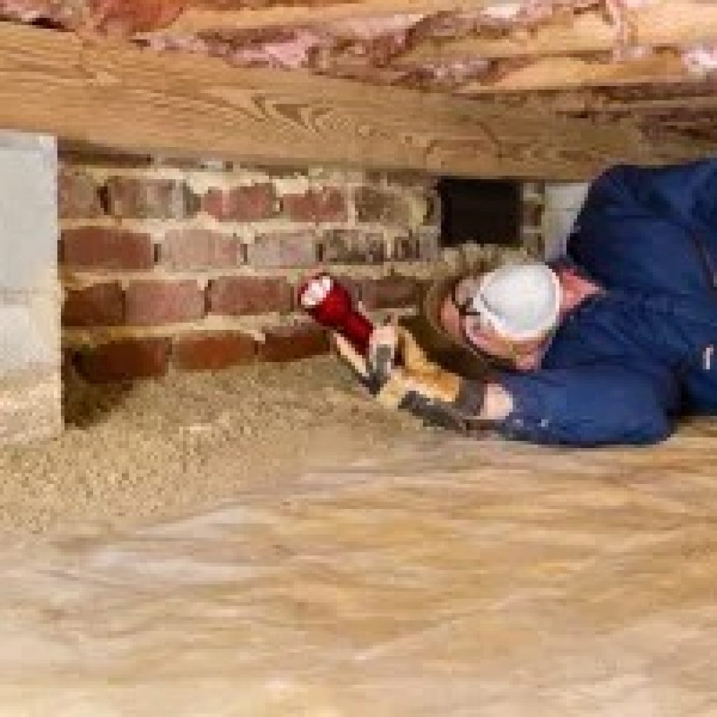 Penrith Valley Pest Control: Fast, Safe Local Solutions Penrith Valley Pest Control: Fast, Safe Local Solutions