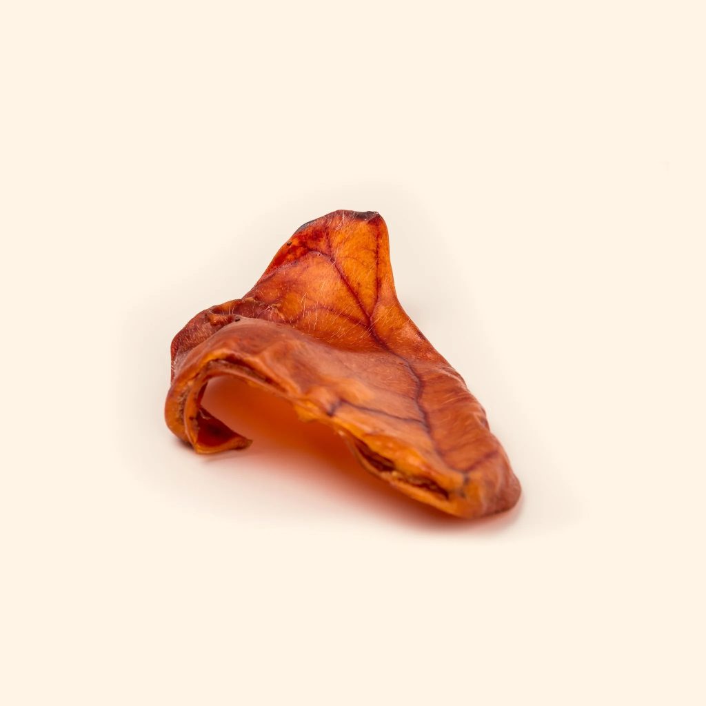 Sausage Dog Treats For Sale – Fresh, Oven-Baked for Tiny Breeds Sausage Dog Treats For Sale – Fresh, Oven-Baked for Tiny Breeds