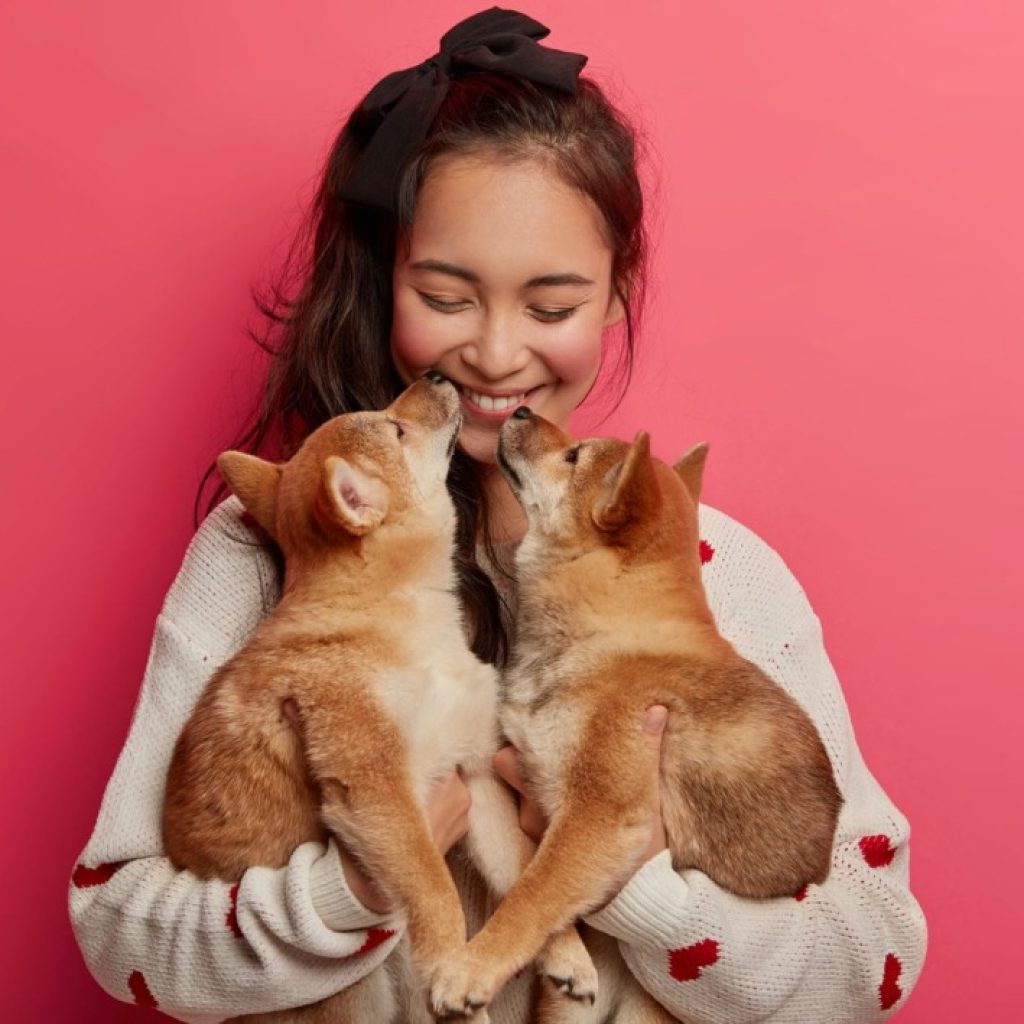 Find Your Cat’s Perfect Match with a Cat Dating Service