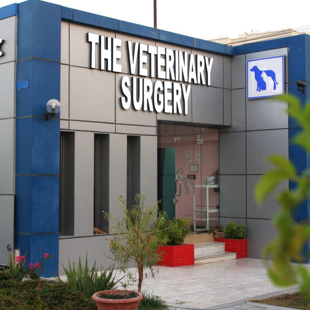 Affordable Vet Care in Qatar: Cheap Vet Options Affordable Vet Care in Qatar: Cheap Vet Options
