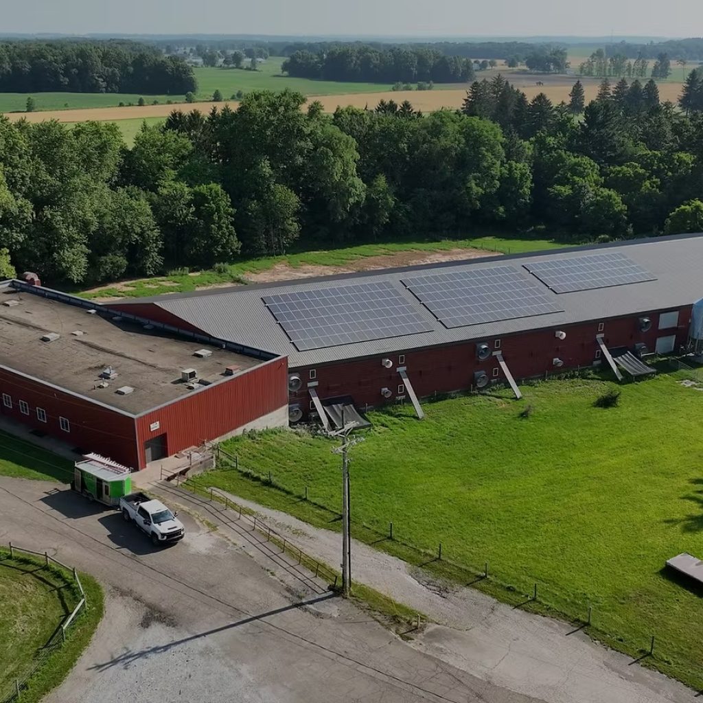 Integrated Poultry Farming: A Sustainable, Profitable Approach Integrated Poultry Farming: A Sustainable, Profitable Approach