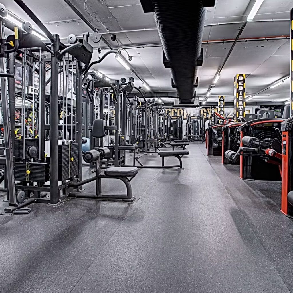 Mma Training in Sydney: Expert Classes and Sparring Mma Training in Sydney: Expert Classes and Sparring