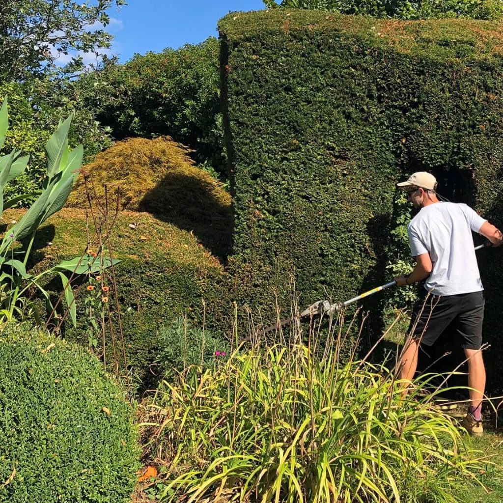Reliable Local Gardener in Tunbridge Wells