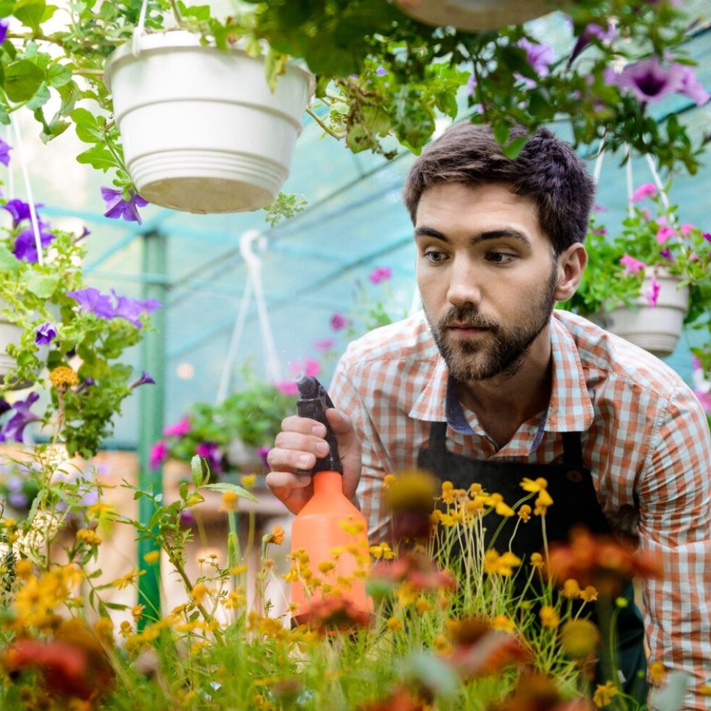 Insurance Gardening: Protect Your Green Space with Smart Coverage