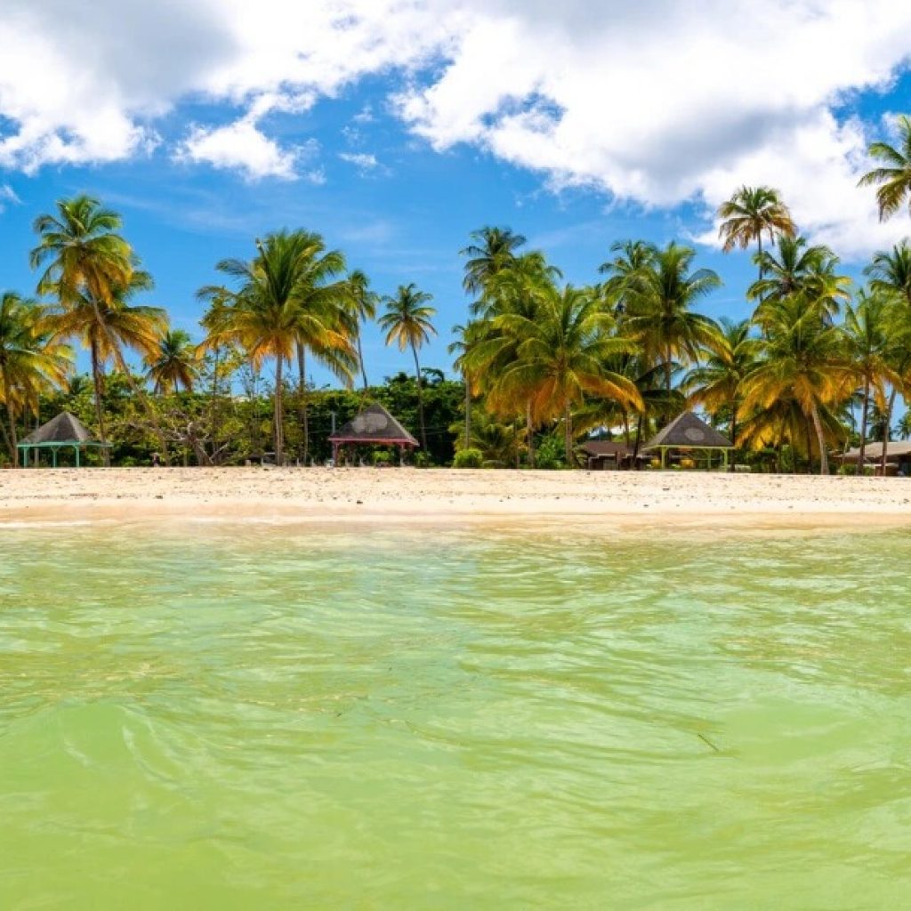 Rentals Car in Hawaii: Easy Island Travel