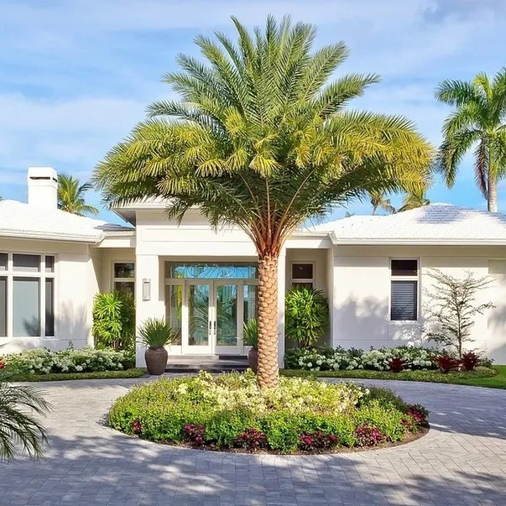 Transform Your Naples Business with Expert Outdoor Landscaping Transform Your Naples Business with Expert Outdoor Landscaping
