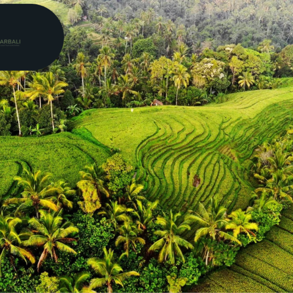 Discover a Day Tour to Bali’s Stunning Nusa Penida Discover a Day Tour to Bali’s Stunning Nusa Penida