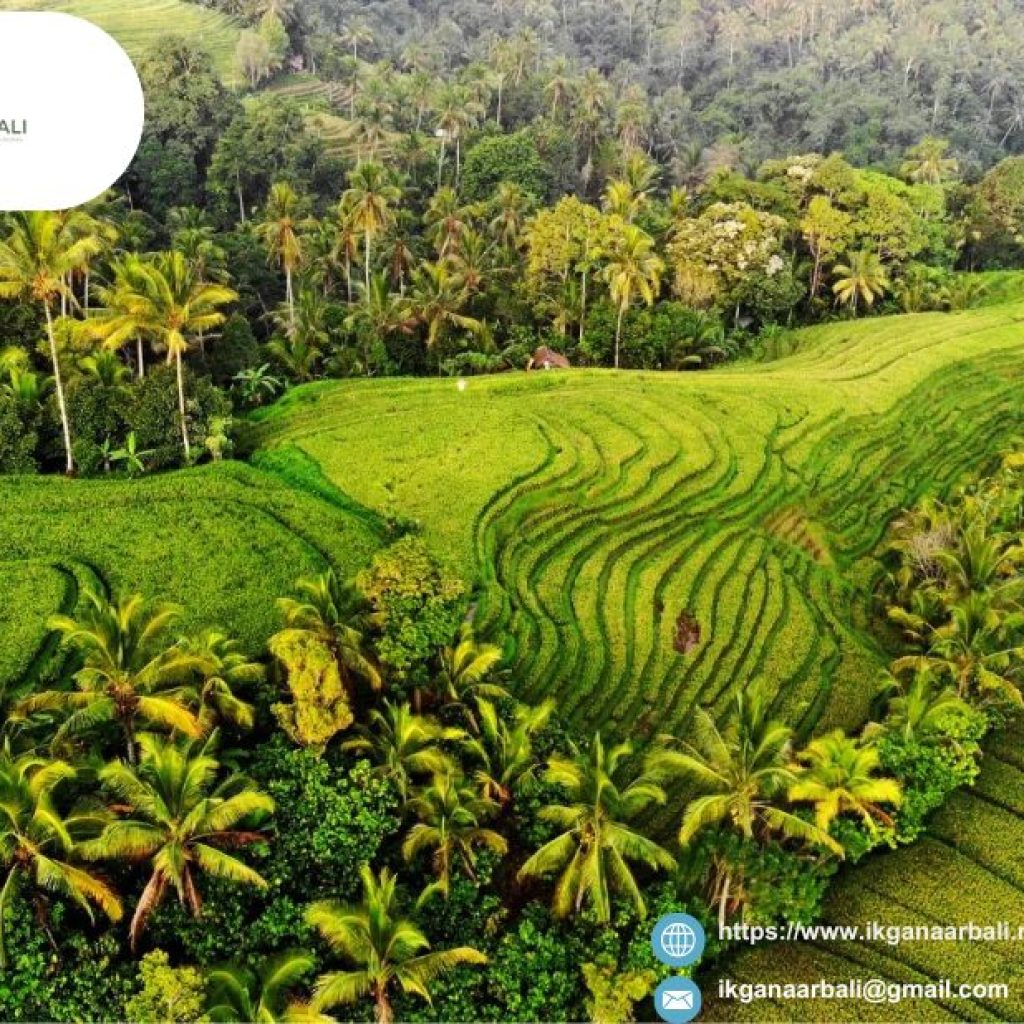 Canggu hotspots | Ikganaarbali.nl Canggu hotspots | Ikganaarbali.nl
