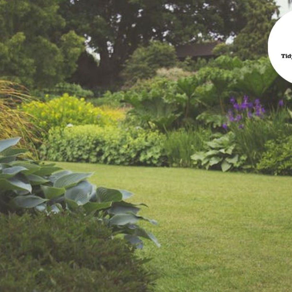 Expert Garden Pruning for a Healthier Bristol Garden Expert Garden Pruning for a Healthier Bristol Garden
