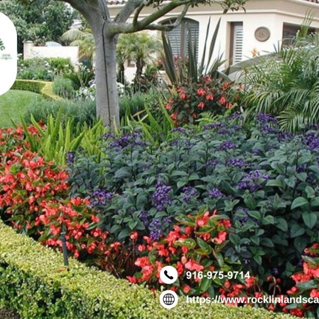 Rocklin Landscapers | Rocklinlandscapingpros.com