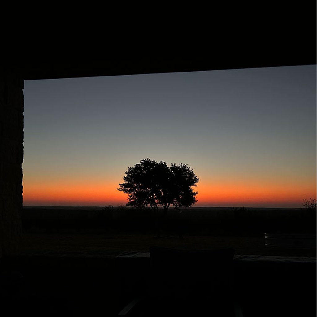 Pearsall RV Holidays: Scenic Texas Campgrounds & Tips
