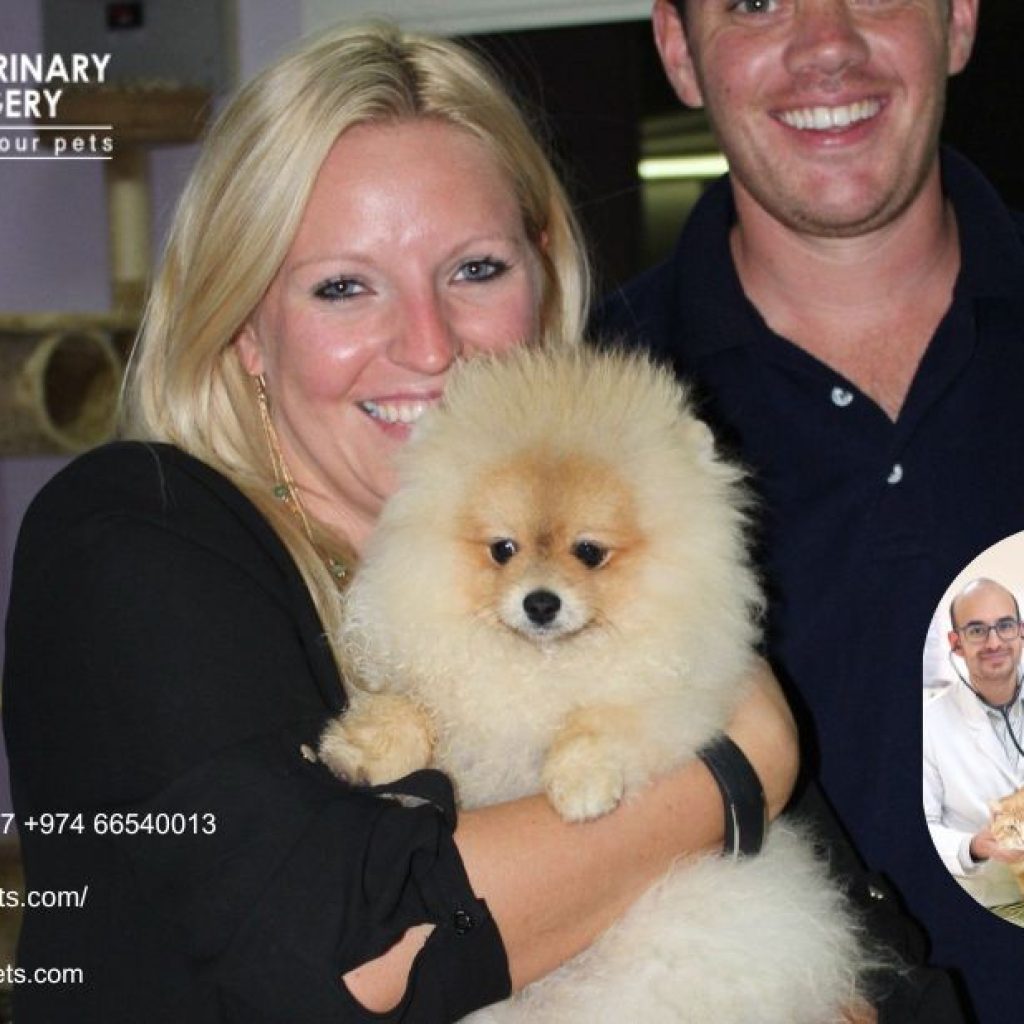 Vet Center Qatar | Dohavets.com Vet Center Qatar | Dohavets.com