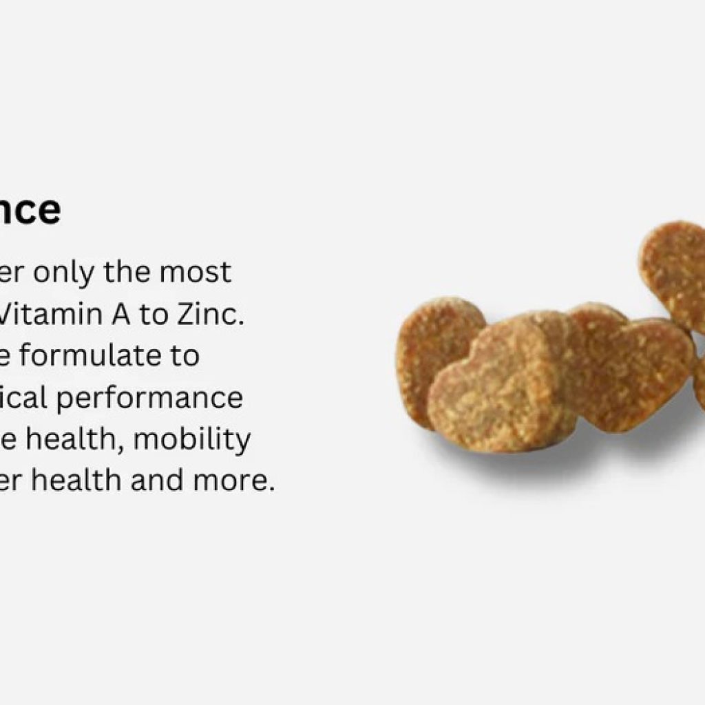 Boost Your Dog’s Health with Premium Salmon Oil Boost Your Dog’s Health with Premium Salmon Oil