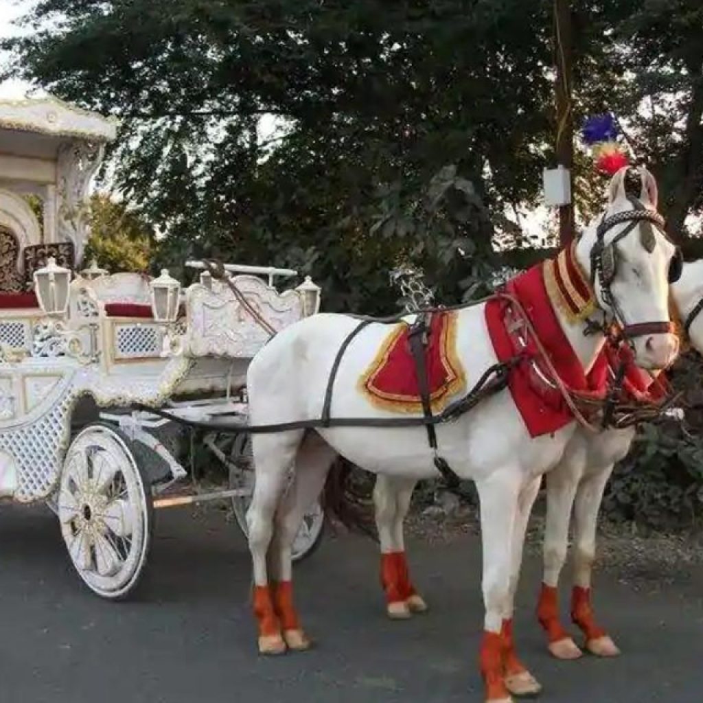 Bar on wheels for Baraat: A Sleek, Festive Bar Option