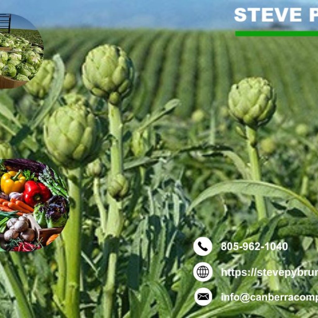 Farm Business Consultants in Santa Barbara Expert Solutions for Your Farm Farm Business Consultants in Santa Barbara Expert Solutions for Your Farm
