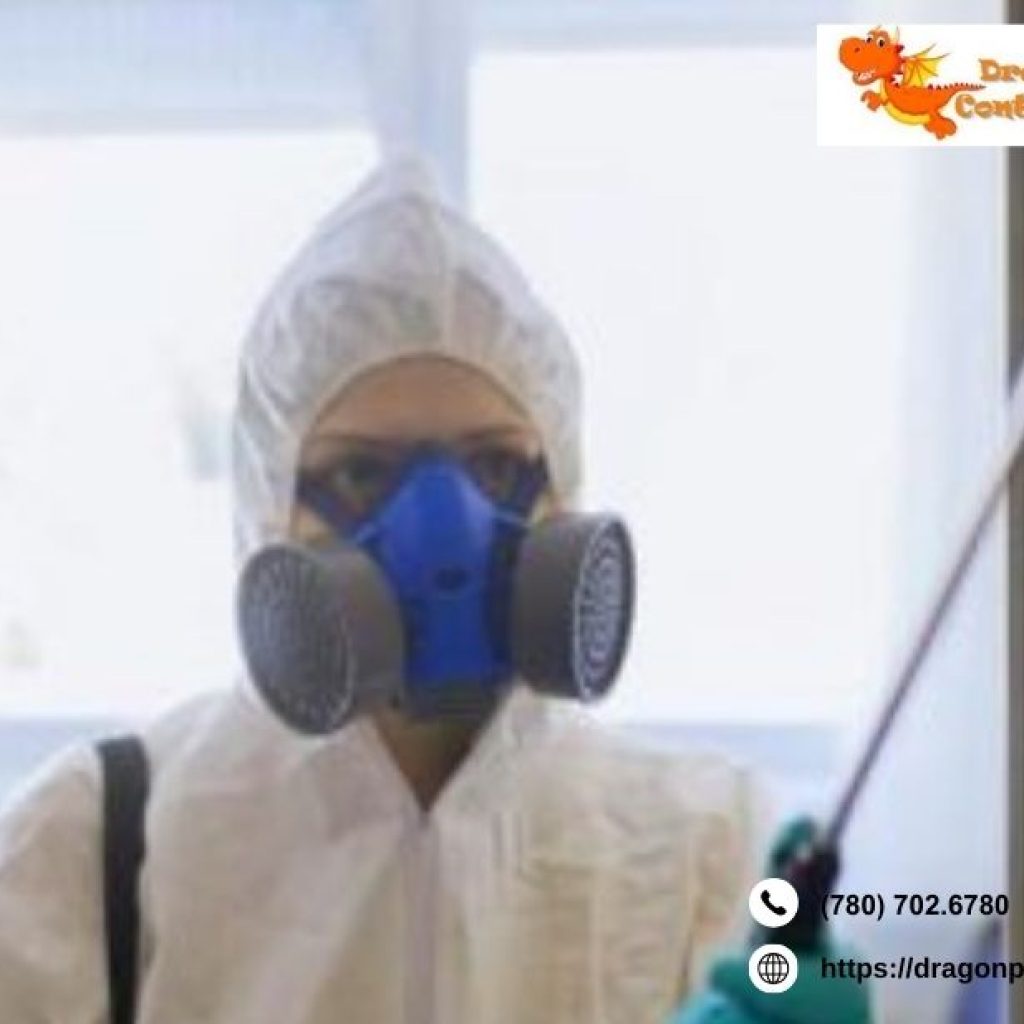Edmonton Pest Control | Dragonpestcontrol.ca Edmonton Pest Control | Dragonpestcontrol.ca
