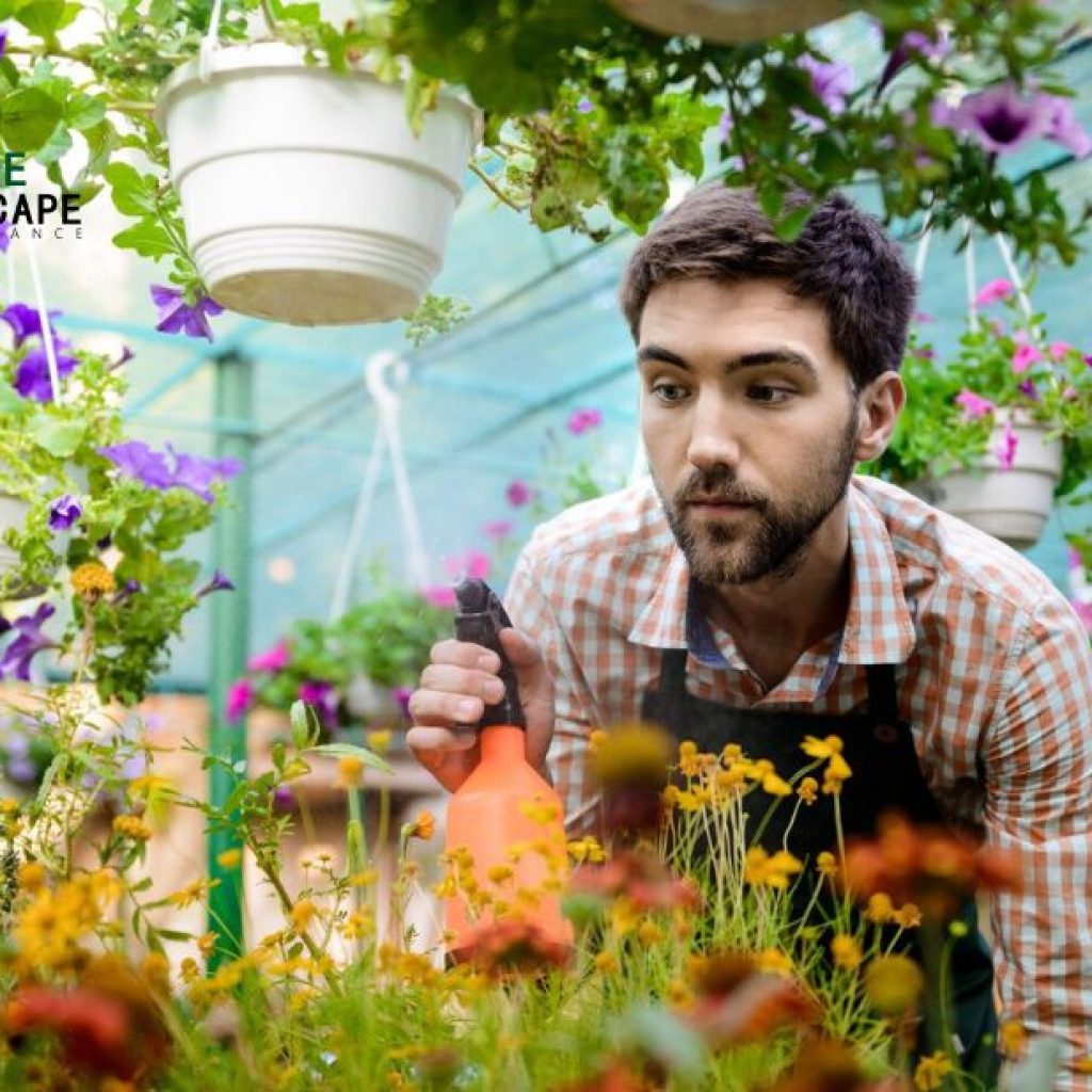 Trusted garden care you can rely on in your neighbourhood Trusted garden care you can rely on in your neighbourhood