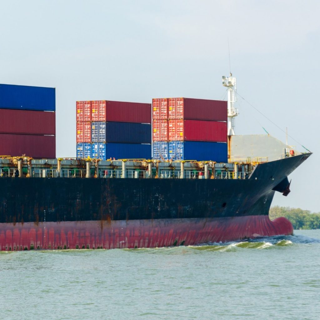 Wholesale Chickpeas: Trusted Bulk Suppliers for Global Markets