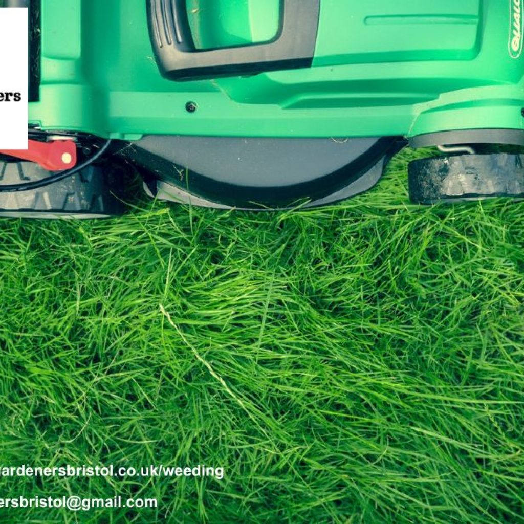 Revamp Your Bristol Garden: Expert Patio and Landscape Makeovers Revamp Your Bristol Garden: Expert Patio and Landscape Makeovers