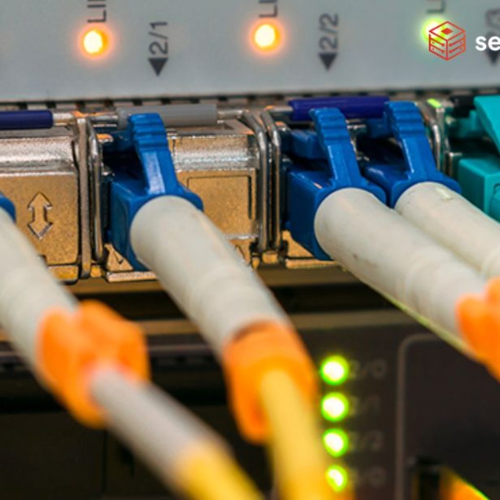 Ultra-Fast NVMe VPS for Linux Hosting: Power, Precision, Performance