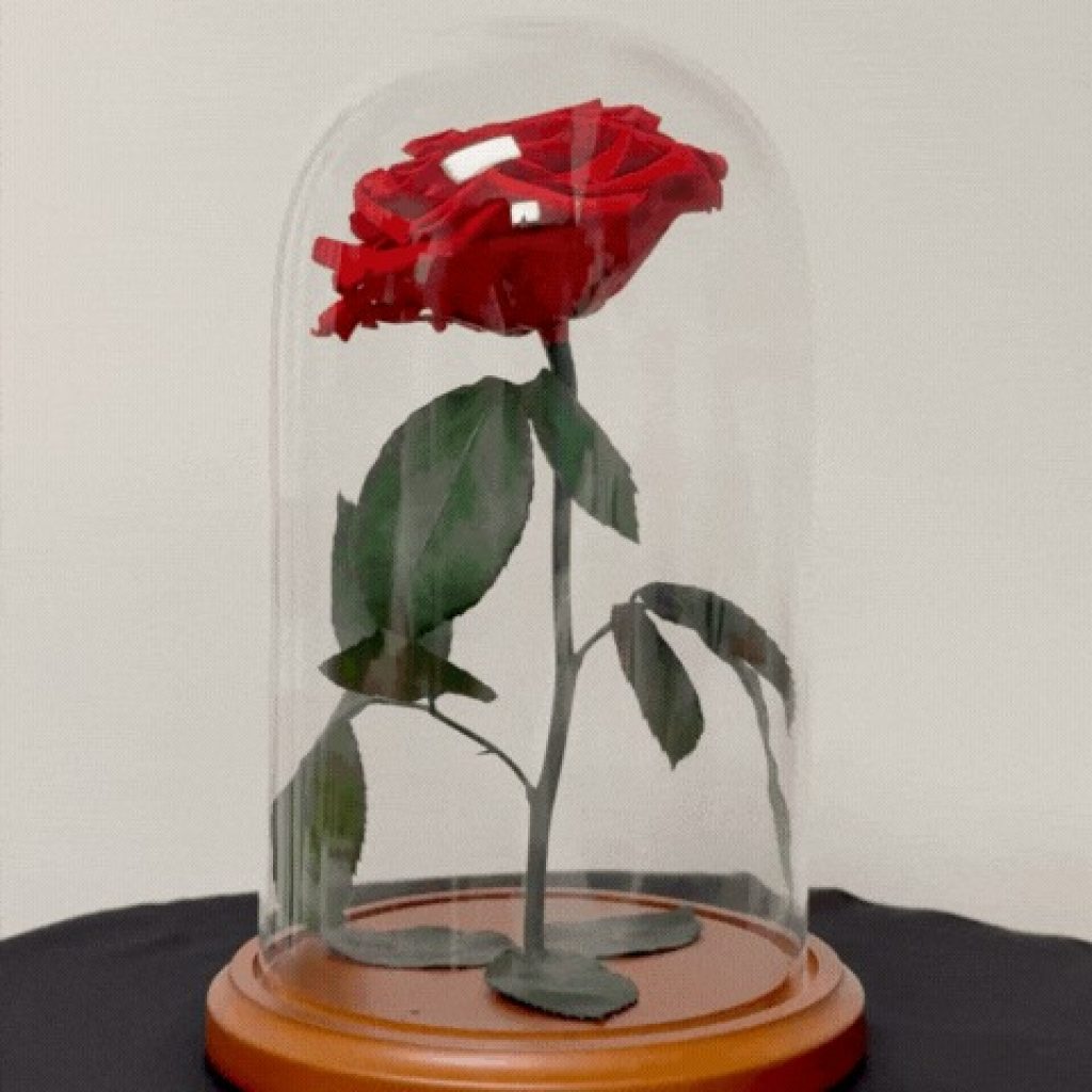 Timeless, Beautiful Flowers That Last