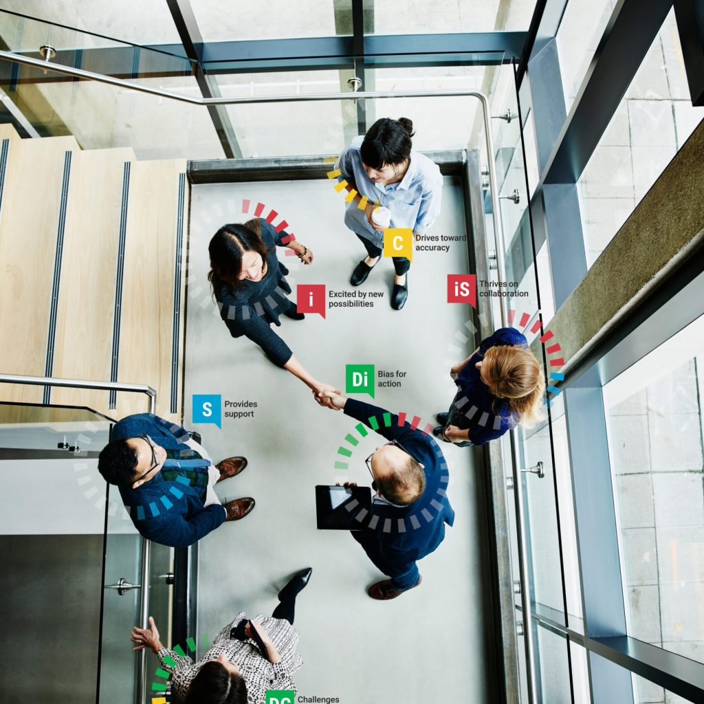Unlocking Team Potential: A Practical Guide to Team Roles in Action