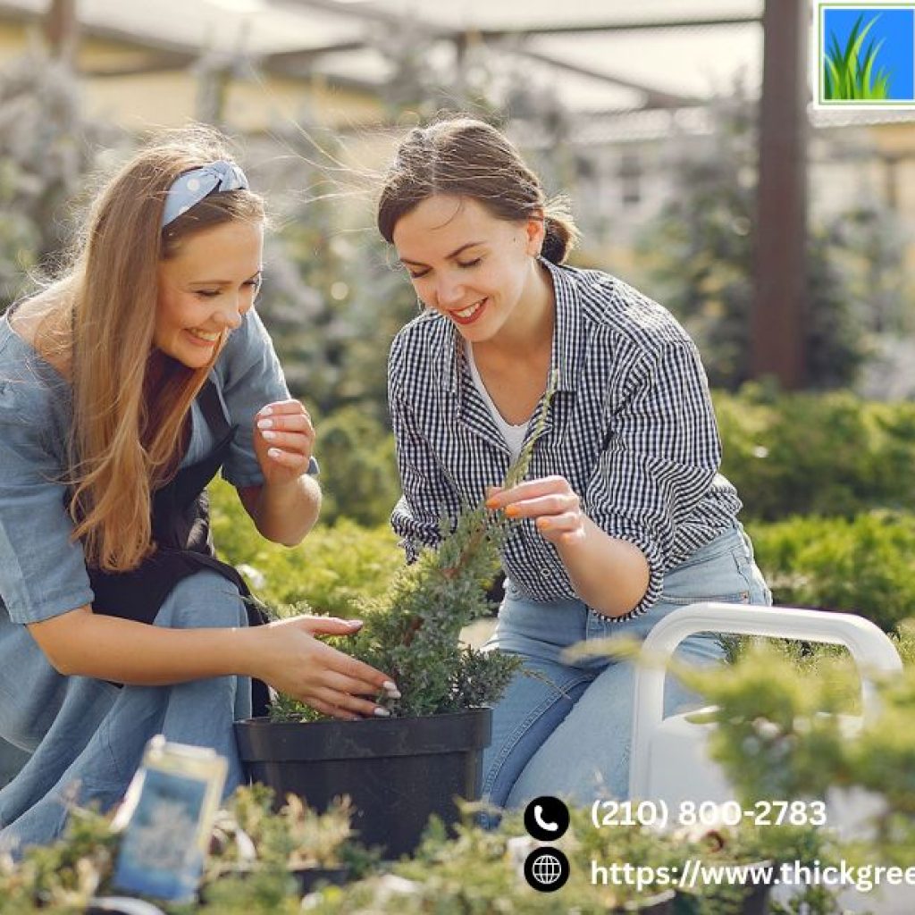 Local Lawn Care Services | Thickgreenhealthy.com Local Lawn Care Services | Thickgreenhealthy.com