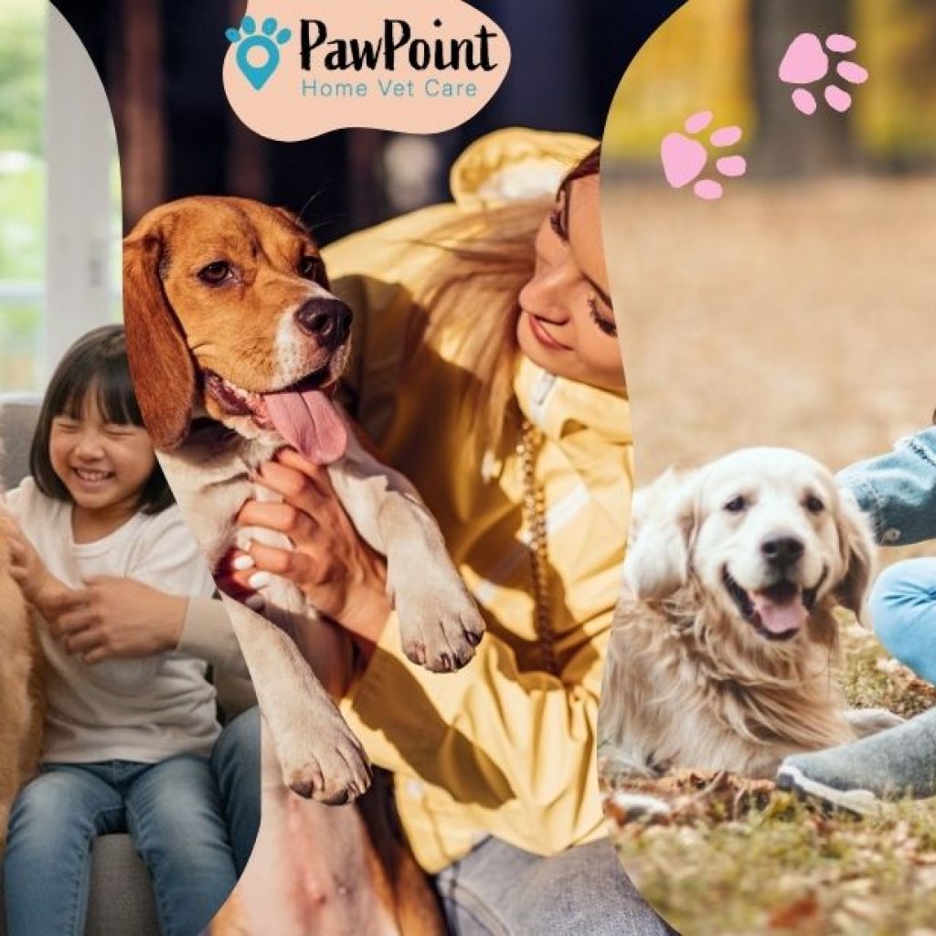 Gentle In-Home Pet Euthanasia in Calgary – Peaceful Farewells Gentle In-Home Pet Euthanasia in Calgary – Peaceful Farewells