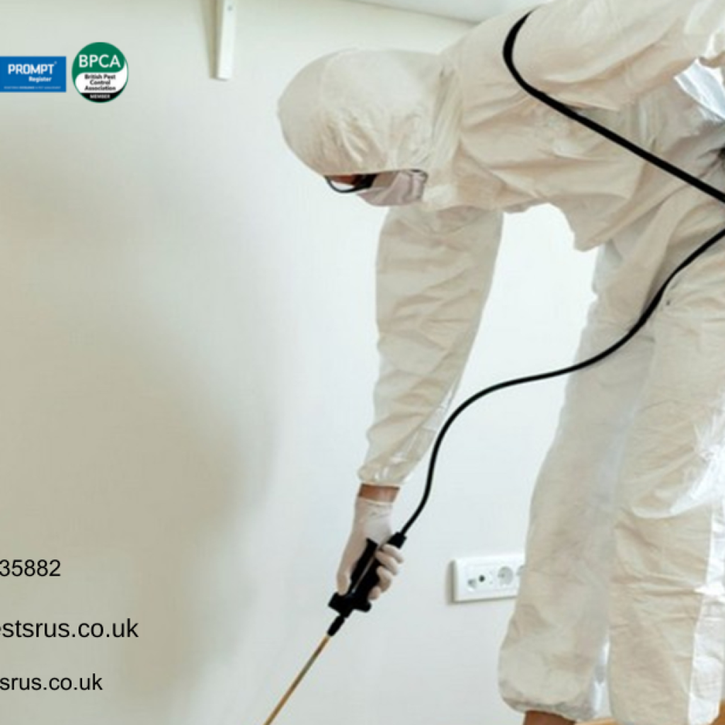 Sleep Peacefully With Reliable Bedbug Control London Treatments Sleep Peacefully With Reliable Bedbug Control London Treatments
