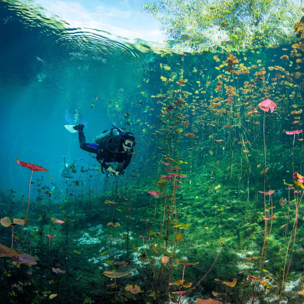 Exploring Subterranean Jewels: A Guide to Underwater Caves in Mexico Exploring Subterranean Jewels: A Guide to Underwater Caves in Mexico