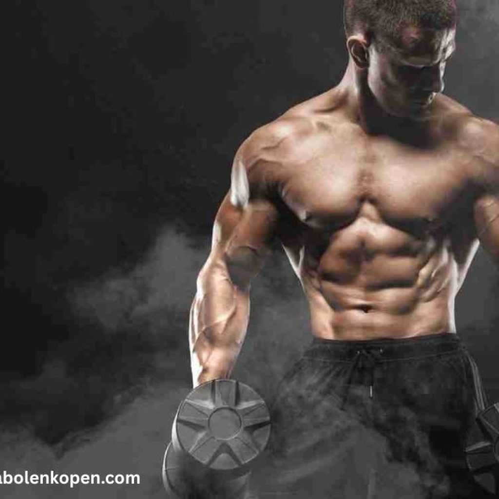 Anabole steroïden kopen | Anabolenkopen.com Anabole steroïden kopen | Anabolenkopen.com