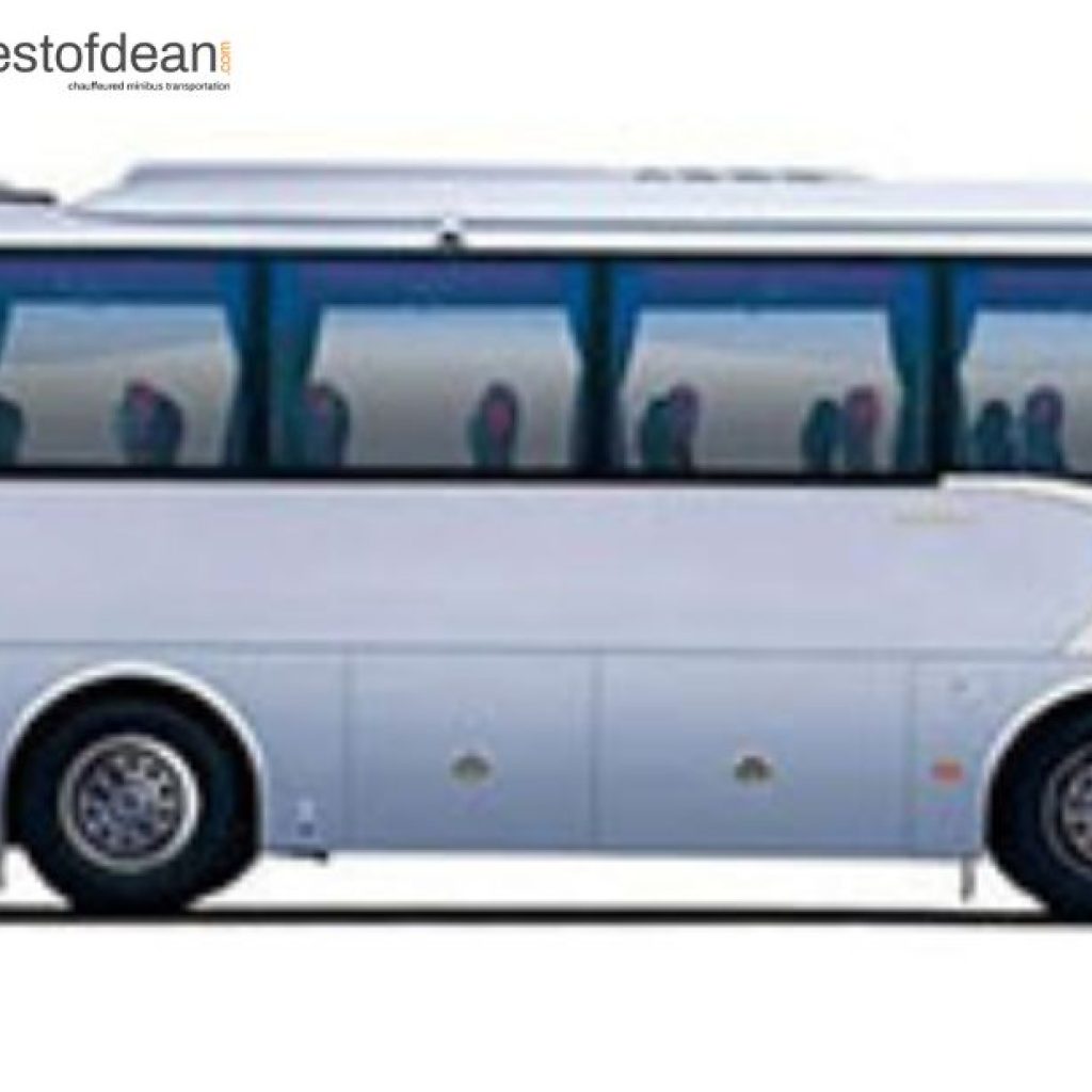 Explore the Forest Region by Coach — Reliable, Friendly Transport Solutions
