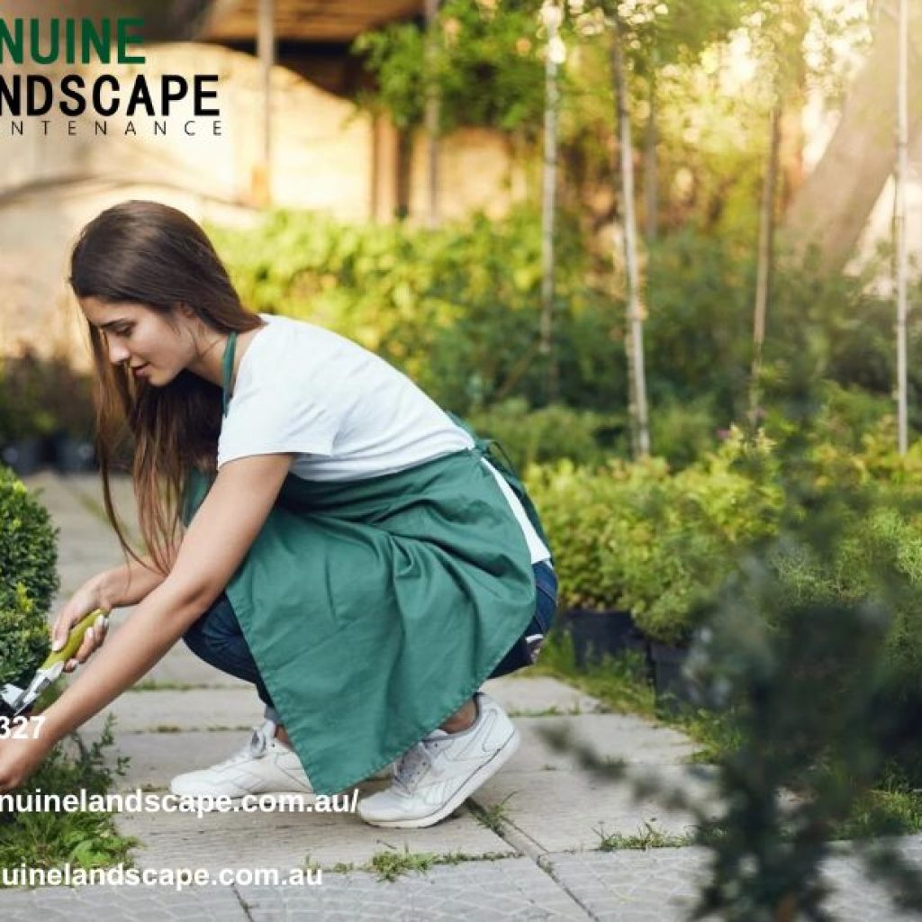 Regular Lawn Mowing Service for Perfect Lawns Regular Lawn Mowing Service for Perfect Lawns