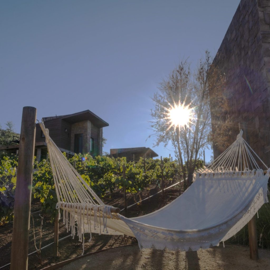 Chic retreats in Baja California: boutique stays you’ll adore Chic retreats in Baja California: boutique stays you’ll adore