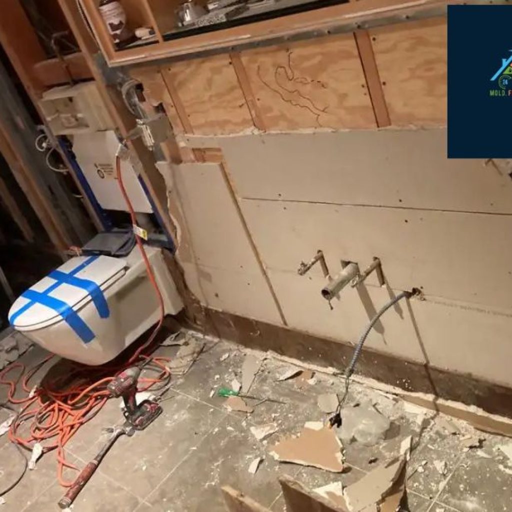 Top-Triority Water Damage Cleanup Experts on LI