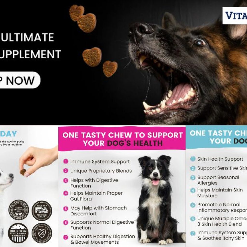 Gentle, Effective Allergy Relief for Your Dog